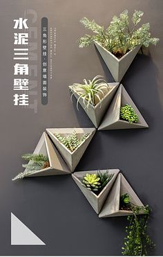 墙绘、形象墙、盆景